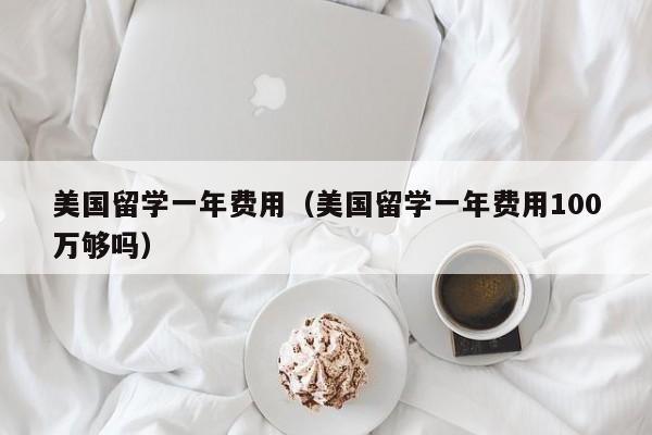 美国留学一年费用（美国留学一年费用100万够吗）